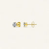 The 'AVA' Stud Earrings